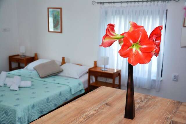 Апартаменты Apartments MaXhit Тиват-33